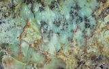 Polished Dendritic Opal (Moss Opal) - Australia #65411-1